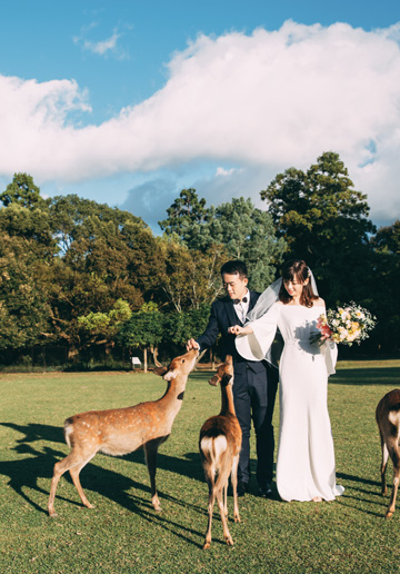 Japan Pre-Wedding Photoshoot At Nara Deer Park 
