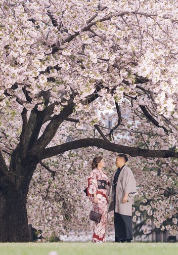 Japan Tokyo Cherry Blossom Pre-Wedding Photoshoot At Park And Shibuya Crossing 