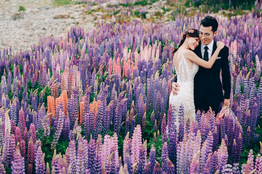 J&J: Pre-wedding at Christchurch Botanic Gardens, snowy mountain and purple lupins by Xing on OneThreeOneFour 11