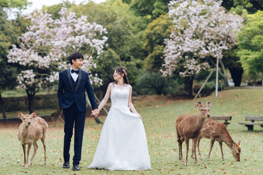 Blooms of Love: Aylsworth & Michele's Kyoto and Nara Spring Engagement by Kinosaki on OneThreeOneFour 17