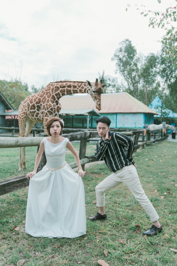 Taiwan Outdoor Pre-Wedding Photoshoot At Tainan Zoo  by Star  on OneThreeOneFour 5