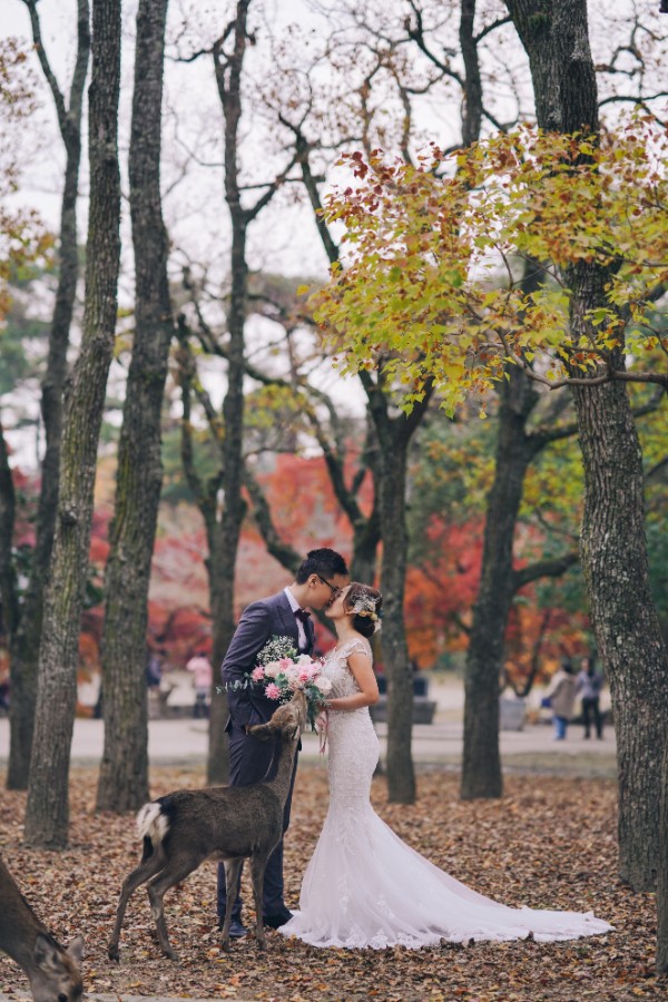 A&R: Kyoto Autumn Pre-wedding Photoshoot by Jia Xin on OneThreeOneFour 12