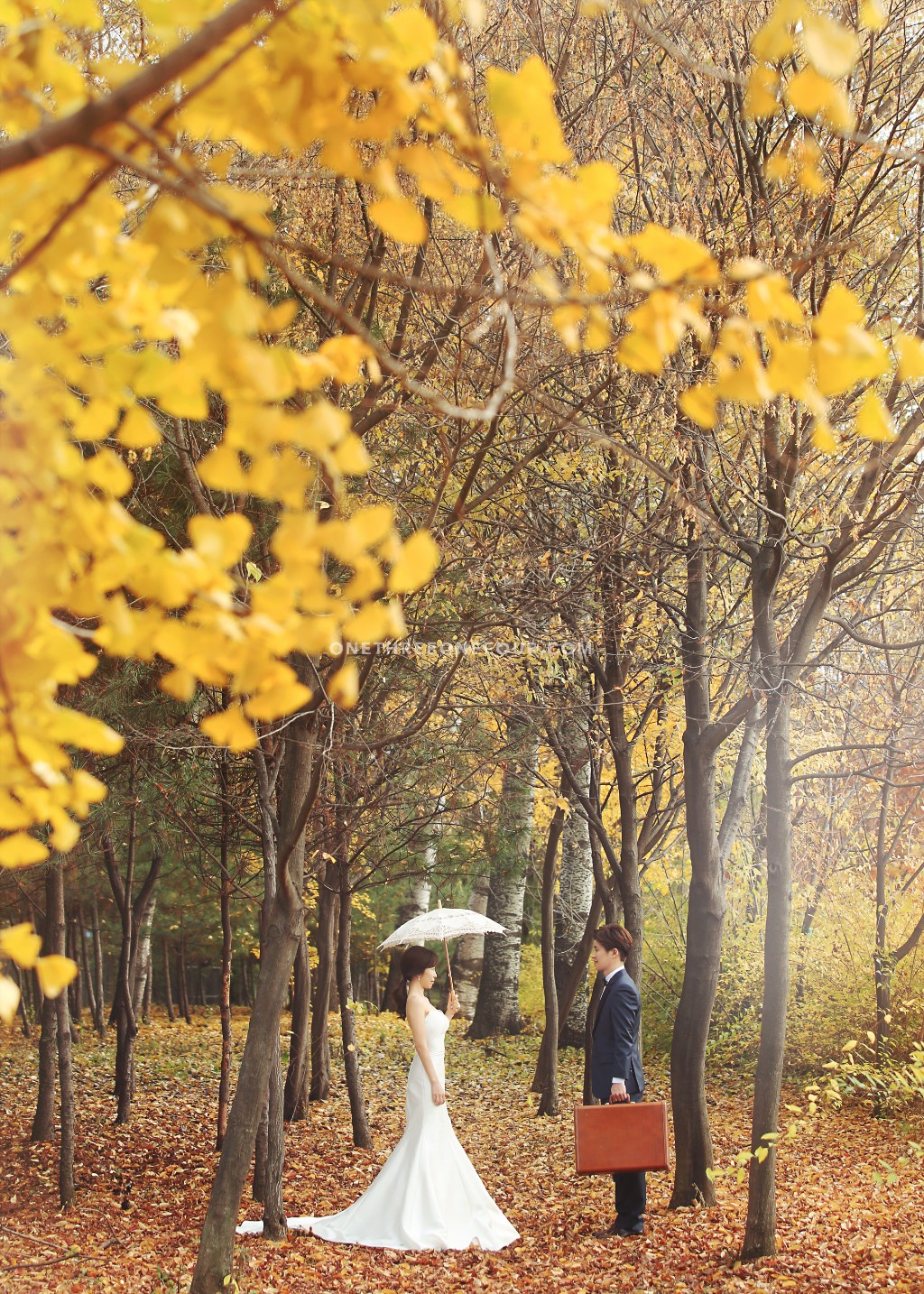 Studio Bong Korea Autumn Outdoor Pre-Wedding Photography - Past Clients by Bong Studio on OneThreeOneFour 11