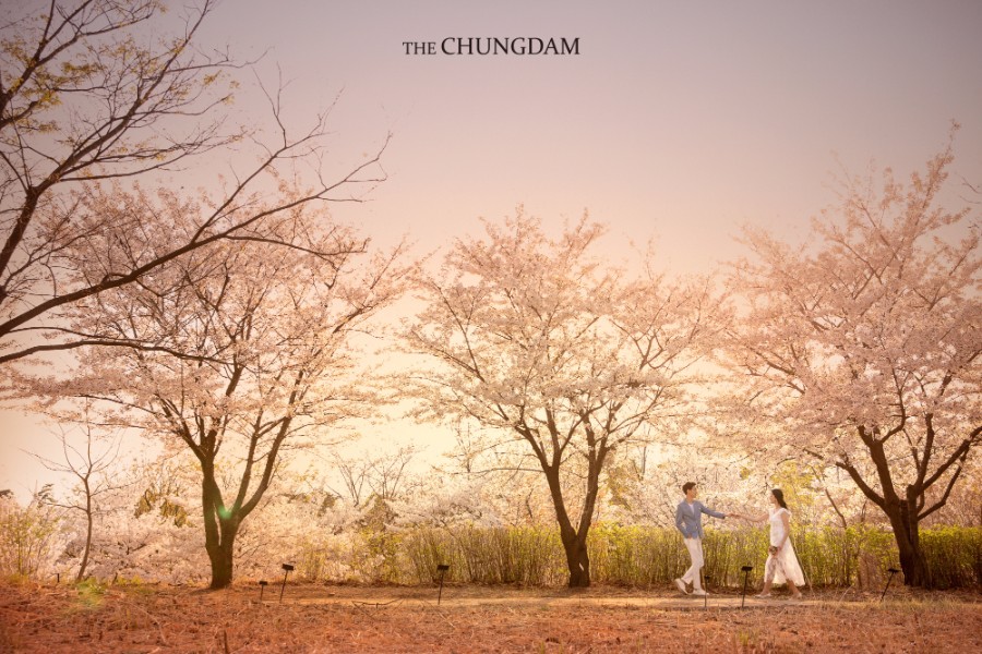 2018 Seasonal Album by Chungdam Studio on OneThreeOneFour 9