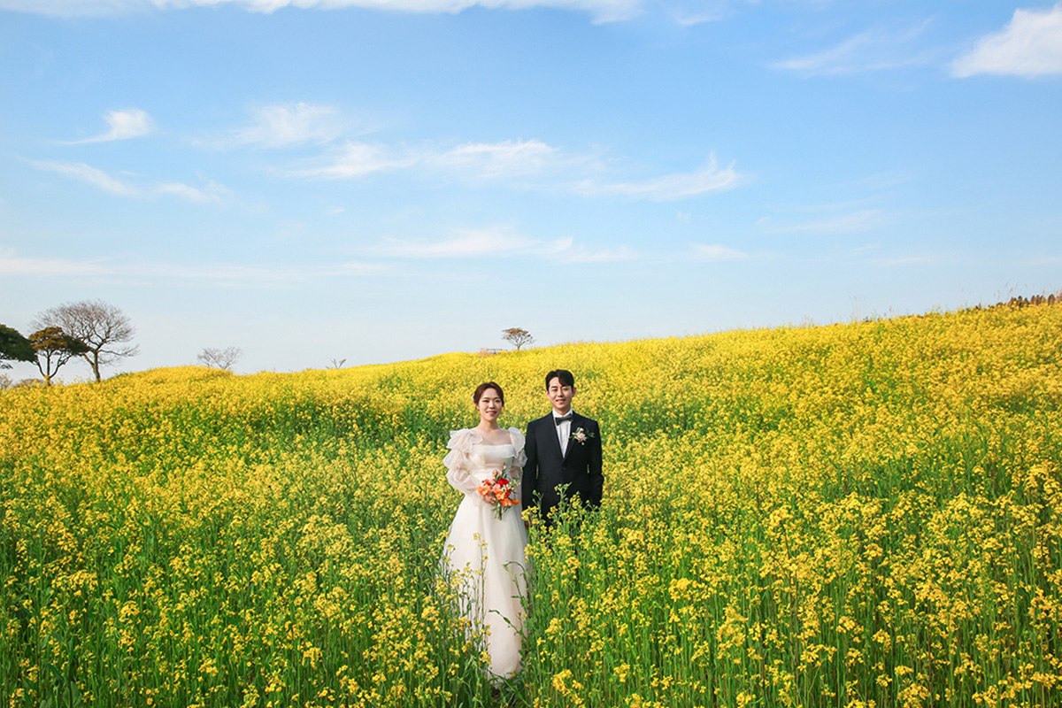 Pre-Wedding Photoshoot in Jeju Island amidst Cherry Blossoms, Canola Flowers, and Beach in Spring by Byunghyun on OneThreeOneFour 6