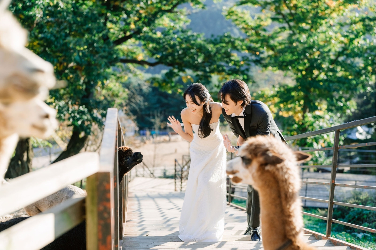 Seoul Autumn Pre-Wedding Photoshoot with Lotte World, Alpaca World, and Hongdae Streets by Jungyeol on OneThreeOneFour 15