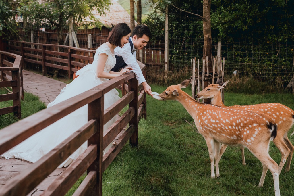 Pre-Wedding Photoshoot In Bangkok At Chinatown And Alpaca Hill Farm  by Por  on OneThreeOneFour 28