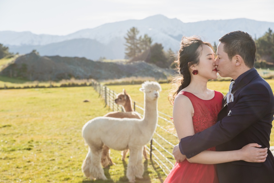 New Zealand Lake Tekapo, Lake Pukaki and Arrowtown Pre-Wedding Photoshoot by Fei on OneThreeOneFour 37