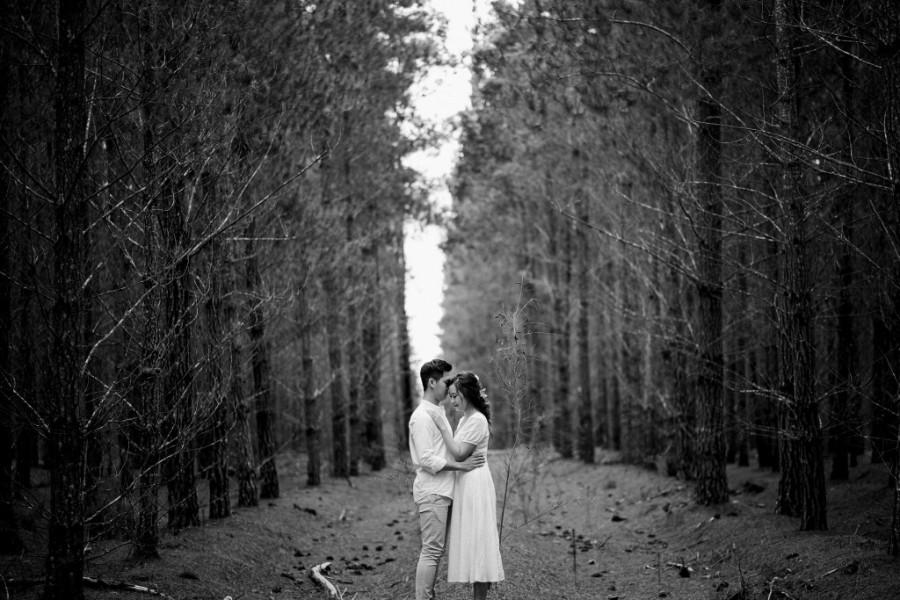 C&S: Perth pre-wedding overlooking a valley, with whimsical forest and lake scene by Jimmy on OneThreeOneFour 13