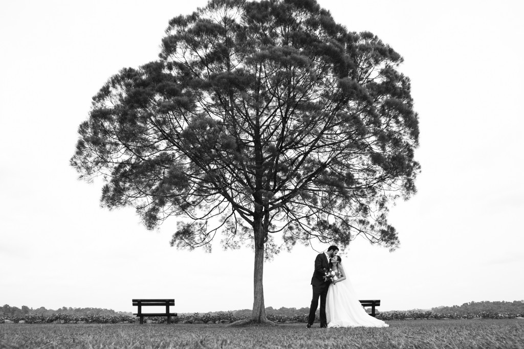 Romantic & Dreamy Pre-Wedding at Singapore Wedding Tree | Singapore Pre-Wedding Photography by Cheng on OneThreeOneFour 10