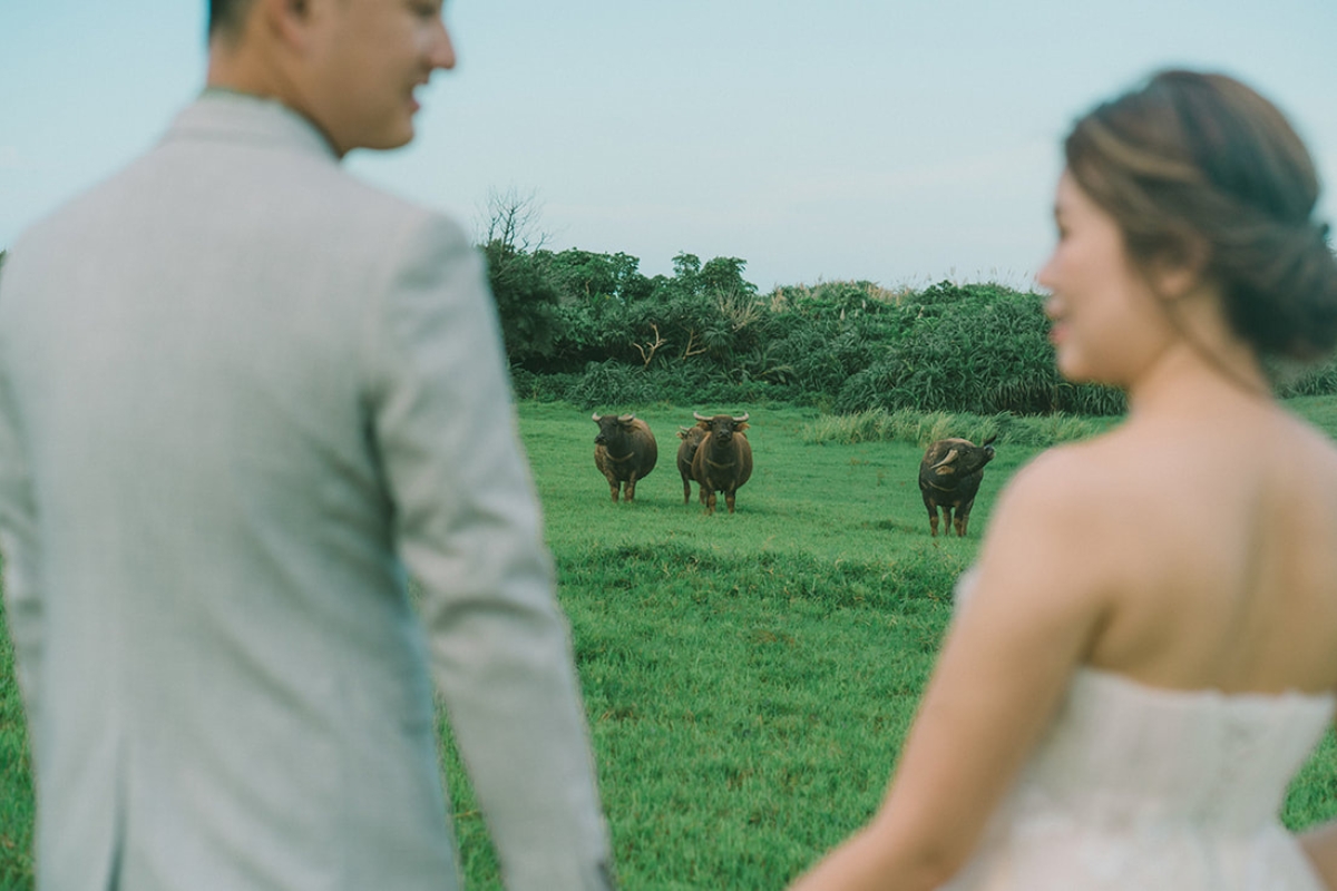 Taiwan Pre-Wedding Photoshoot Green Fields Silvergrass Sea Car Fairy Lights by  on OneThreeOneFour 7