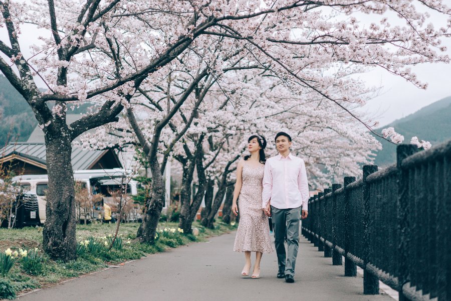 Japan Tokyo Pre-Wedding Photoshoot At Traditional Japanese Village And Pagoda During Sakura Season by Lenham on OneThreeOneFour 2
