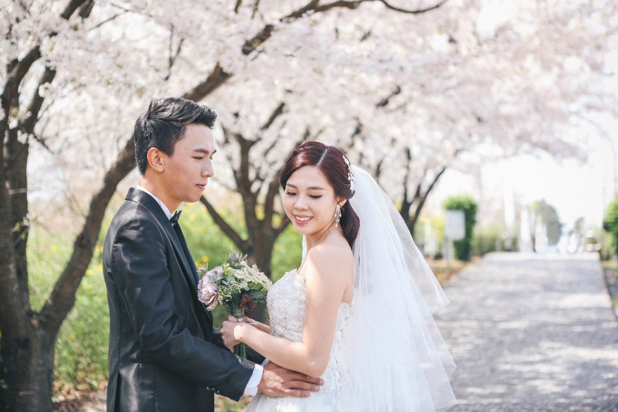 M: Korea Cherry Blossom Pre-Wedding Photoshoot At Seoul Forest With During Spring by Beomsoo  on OneThreeOneFour 8