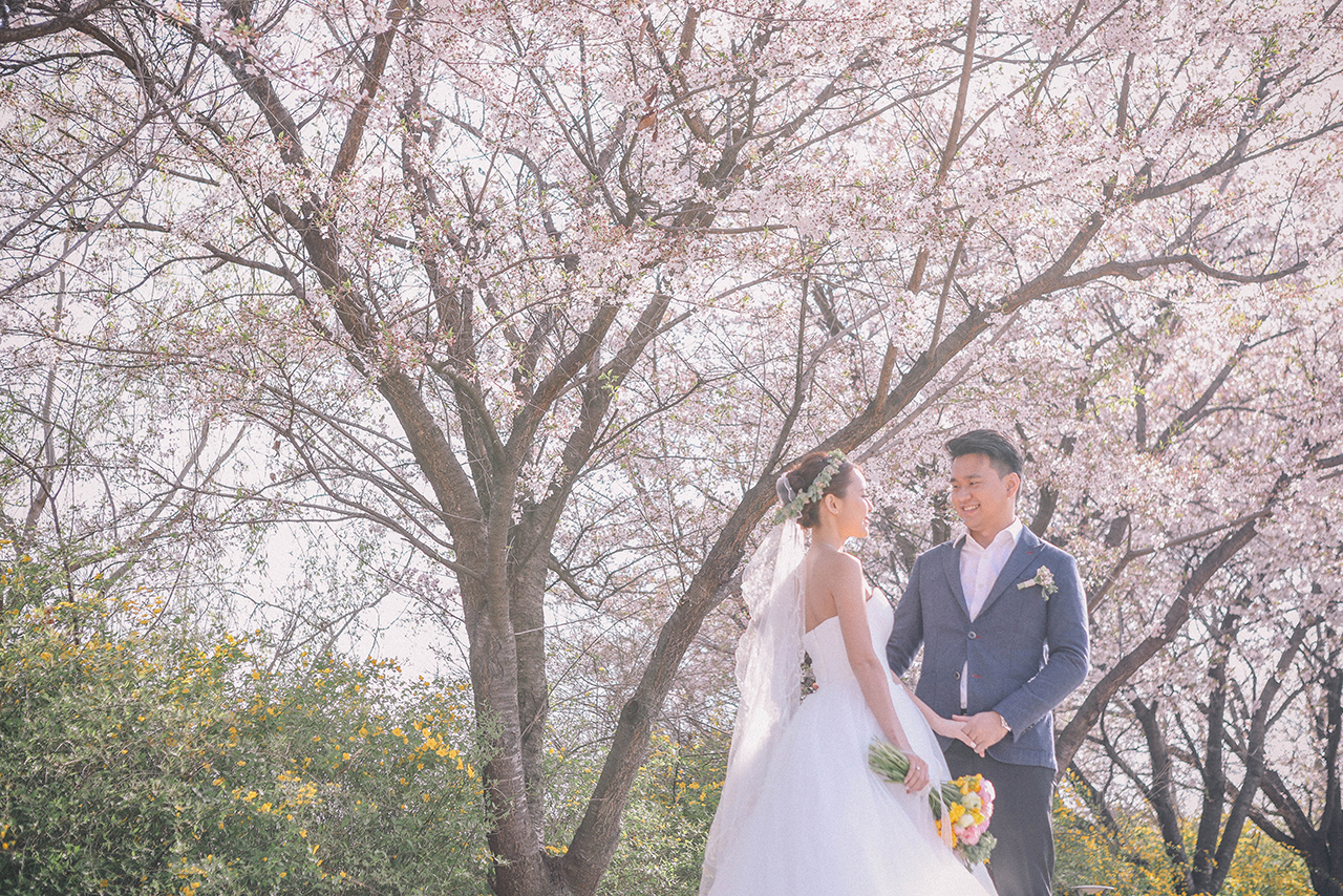Korea Cherry Blossom Pre-Wedding Photoshoot At Seoul Forest And Kyunghee University  by Beomsoo on OneThreeOneFour 14