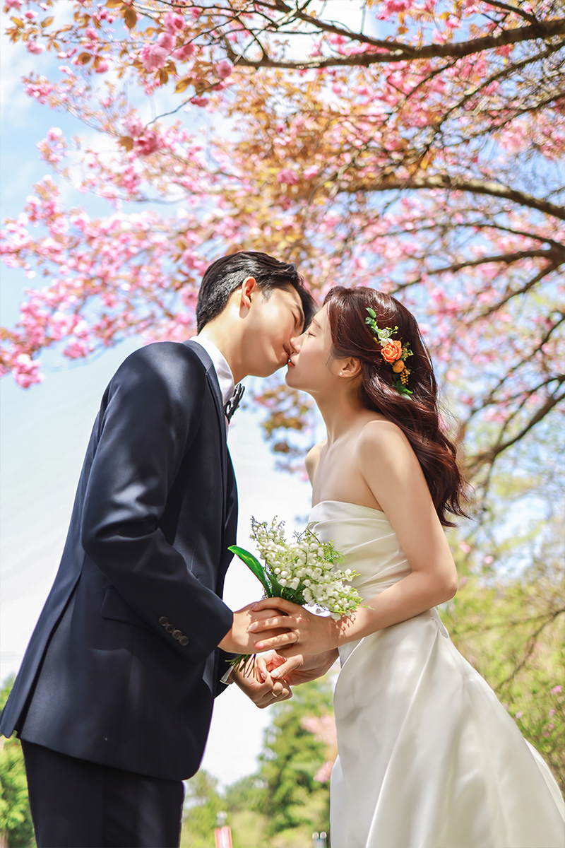 Enchanting Spring Pre-Wedding Photoshoot at Jeju Island by Byunghyun on OneThreeOneFour 4