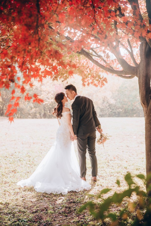 C&S: Korea Autumn Pre-Wedding at Hanuel Park with Pink Muhly Grass by Jongjin on OneThreeOneFour 11