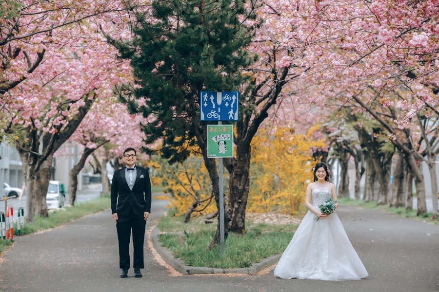 Hokkaido Pre-Wedding Photoshoot at Hokkaido Government Building & Temiya Park by Kuma on OneThreeOneFour 7