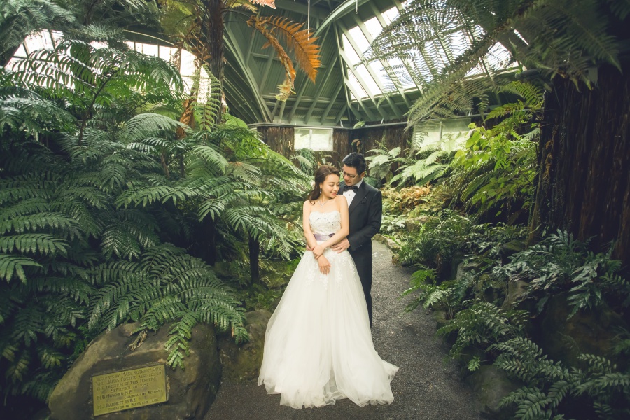 New Zealand Pre-Wedding Photoshoot At Christchurch, Lake Pukaki And Alpaca Farm  by Xing on OneThreeOneFour 8