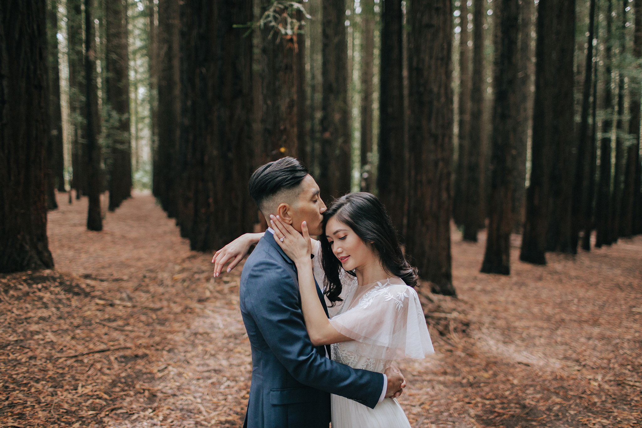 Melbourne Pre-Wedding Photoshoot in Royal Botanical Gardens & Redwood Forest by Freddie on OneThreeOneFour 22