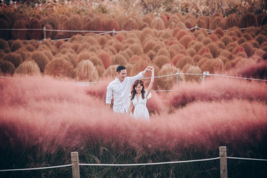C&S: Korea Autumn Pre-Wedding at Hanuel Park with Pink Muhly Grass by Jongjin on OneThreeOneFour 24