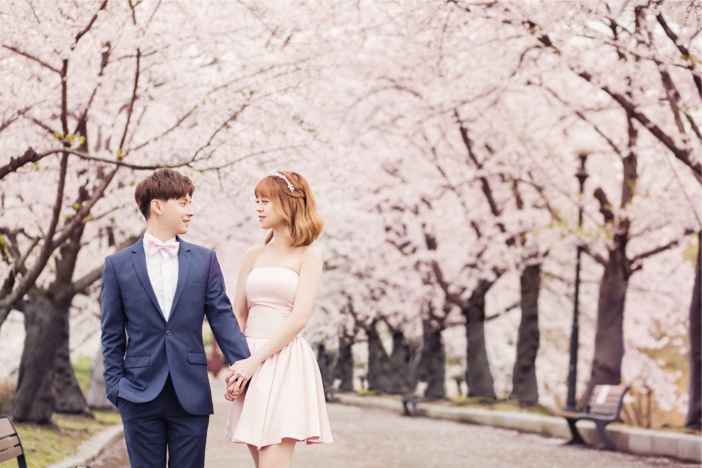 [Client Sample] Cherry Blossoms + Indoor Studio by Gaeul Studio on OneThreeOneFour 2