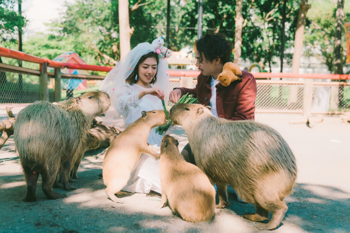 Taiwan Pre-Wedding Photoshoot Zoo Vintage Couple Outfit Streets Retro Vibes by  on OneThreeOneFour 3