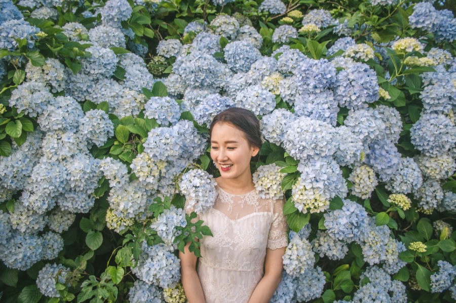Korea Outdoor Pre-Wedding Photoshoot At Jeju Island with Buckwheat Flower and Hydrangea by Geunjoo on OneThreeOneFour 6