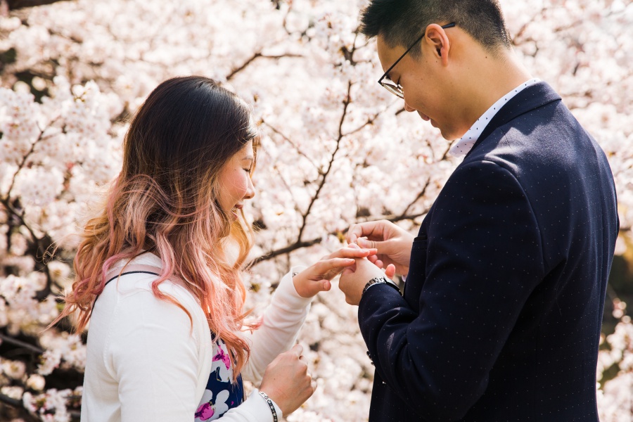 Japan Tokyo Surprise Proposal Photoshoot At Shinjuku Gyoen During Cherry Blossom Season by Koki on OneThreeOneFour 3