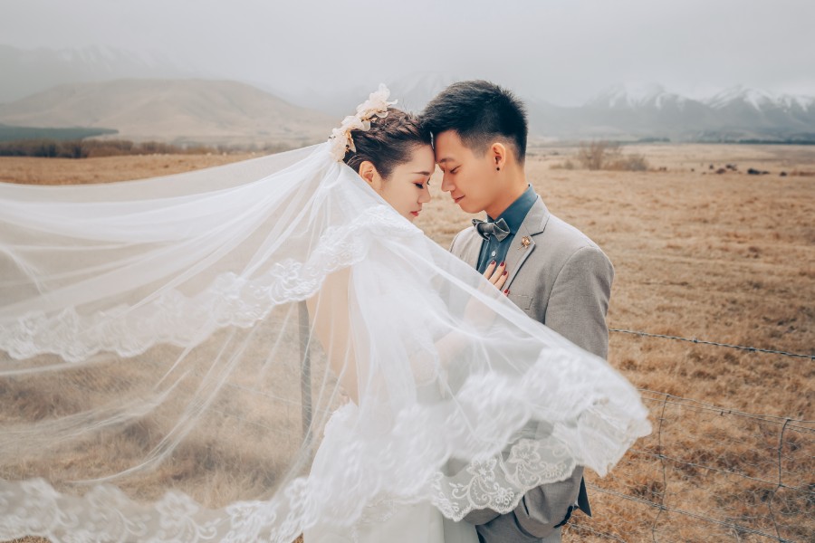 S&D: New Zealand Spring Pre-wedding Photoshoot with Alpacas and Milky Way by Xing on OneThreeOneFour 24