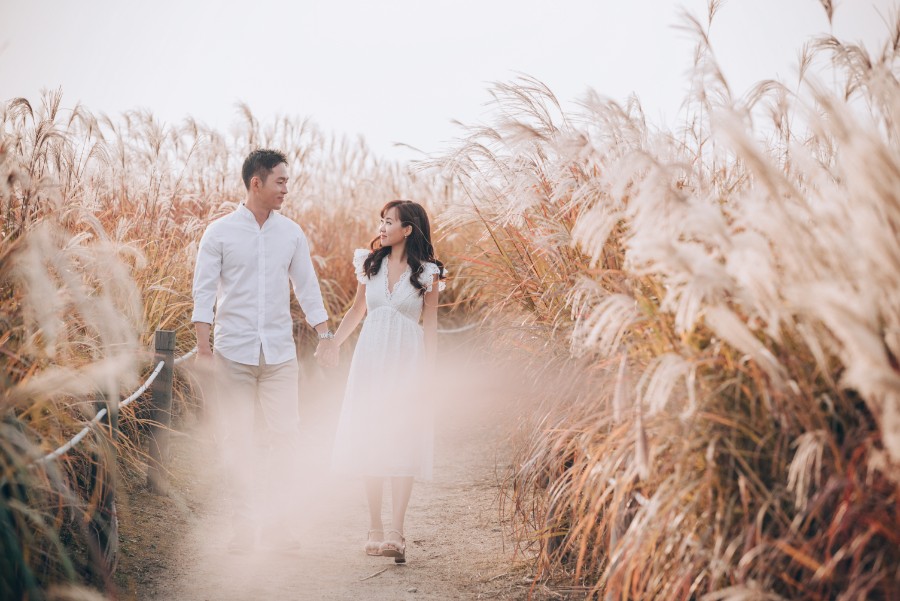 C&S: Korea Autumn Pre-Wedding at Hanuel Park with Pink Muhly Grass by Jongjin on OneThreeOneFour 22
