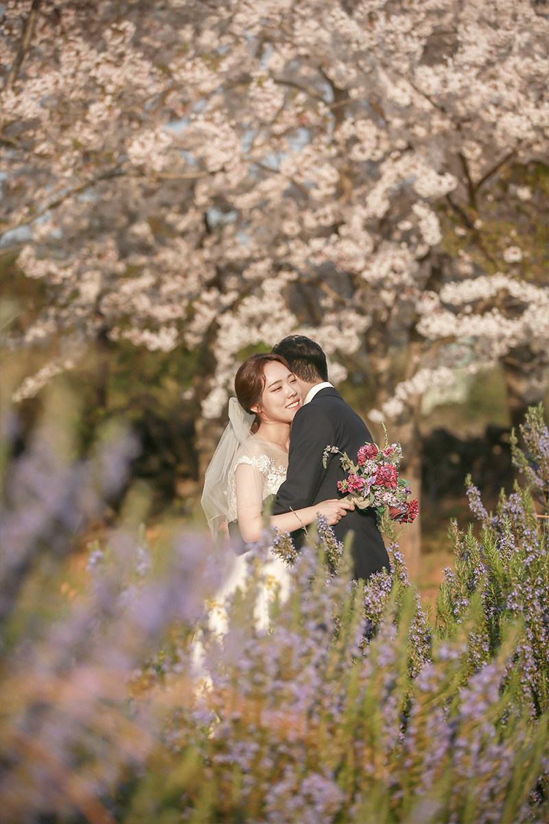 Pre-Wedding Photoshoot in Jeju Island amidst Cherry Blossoms, Canola Flowers, and Beach in Spring by Byunghyun on OneThreeOneFour 2