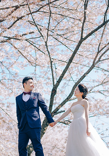 J&A: Kyoto Sakura Season Pre-wedding Photoshoot 
