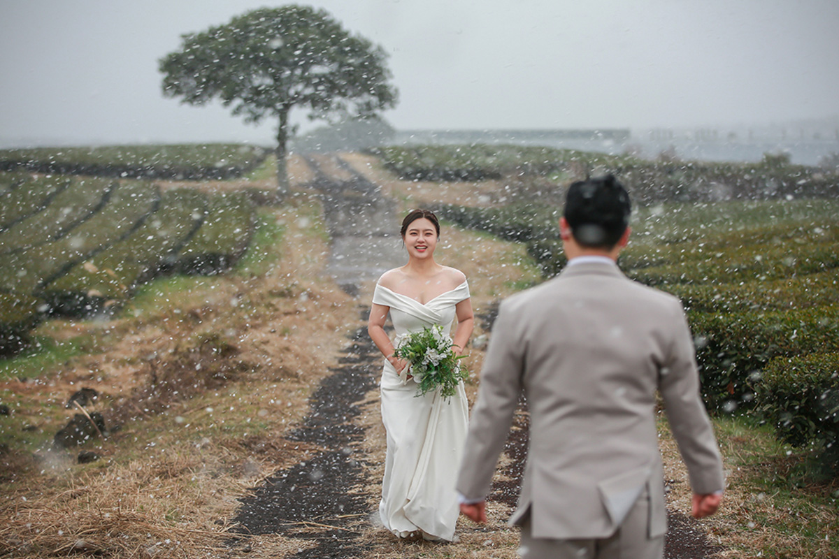 Capturing Love in All Four Seasons: Jeju Pre-Wedding Photoshoot in a Day by Byunghyun on OneThreeOneFour 4