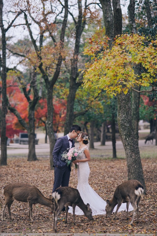 A&R: Kyoto Autumn Pre-wedding Photoshoot by Jia Xin on OneThreeOneFour 13