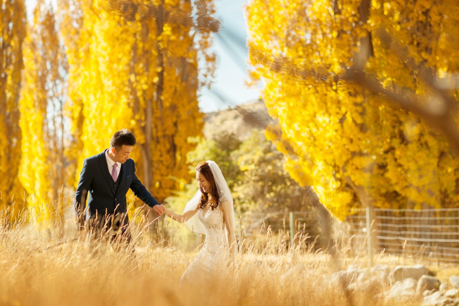 New Zealand Pre-Wedding Photoshoot At Coromandel Peak And Cardrona  by Mike  on OneThreeOneFour 13