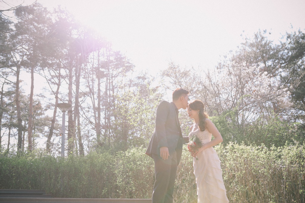Korea Cherry Blossom Pre-Wedding Photoshoot At Seoul Forest  by Beomsoo on OneThreeOneFour 13