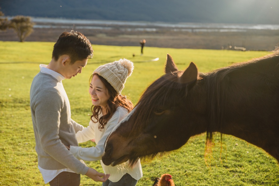 New Zealand Pre-Wedding Photoshoot At Coromandel Peak, Arrowtown And Alpaca Farm by Felix  on OneThreeOneFour 37