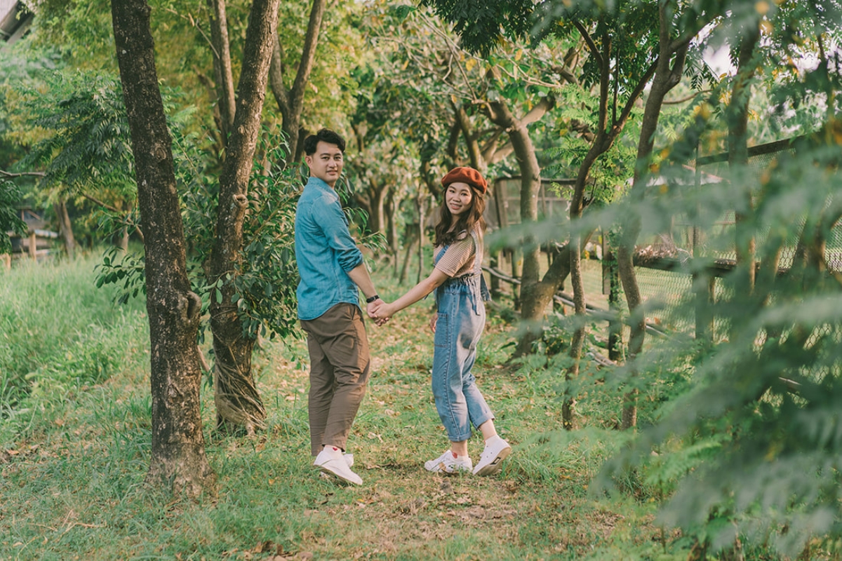 Taiwan Pre-Wedding Photoshoot Pier Blue Skies Animal Farm Flamingos Capybaras Llamas Autumn Leaves by  on OneThreeOneFour 33