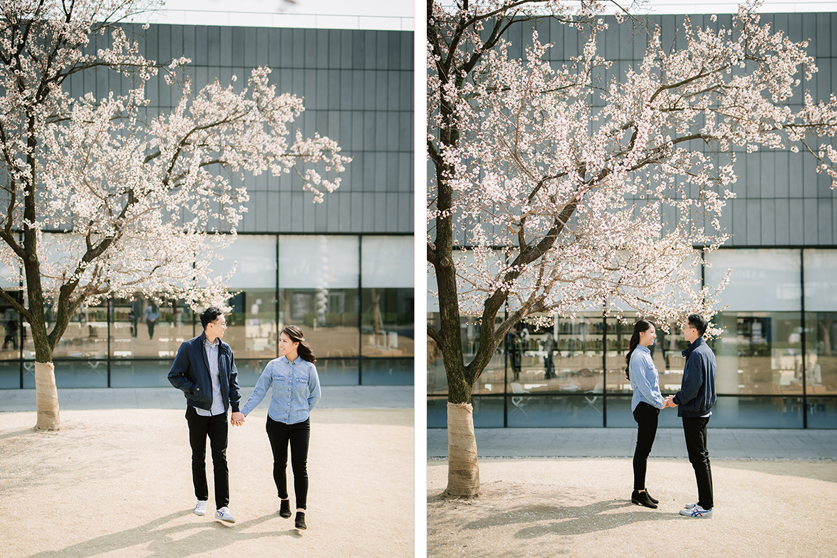 City in Bloom: Romantic Pre-Wedding Photoshoot Amidst Seoul's Blossoming Beauty by Jungyeol on OneThreeOneFour 26