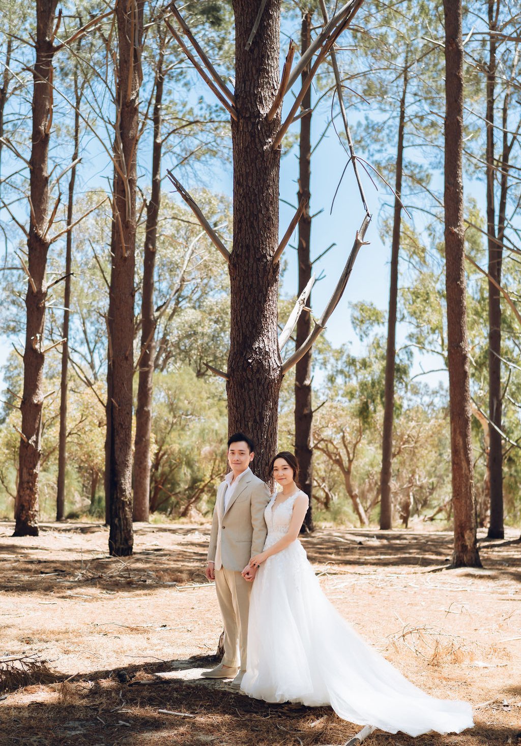 Perth Prewedding Photoshoot At Lancelin Sand Dunes, Wanneroo Pines And Sunset At The Beach