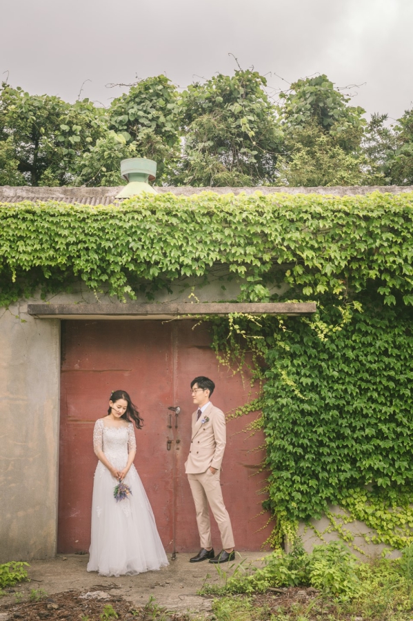 Korea Outdoor Pre-Wedding Photoshoot At Jeju Island with Buckwheat Flower and Hydrangea by Geunjoo on OneThreeOneFour 16