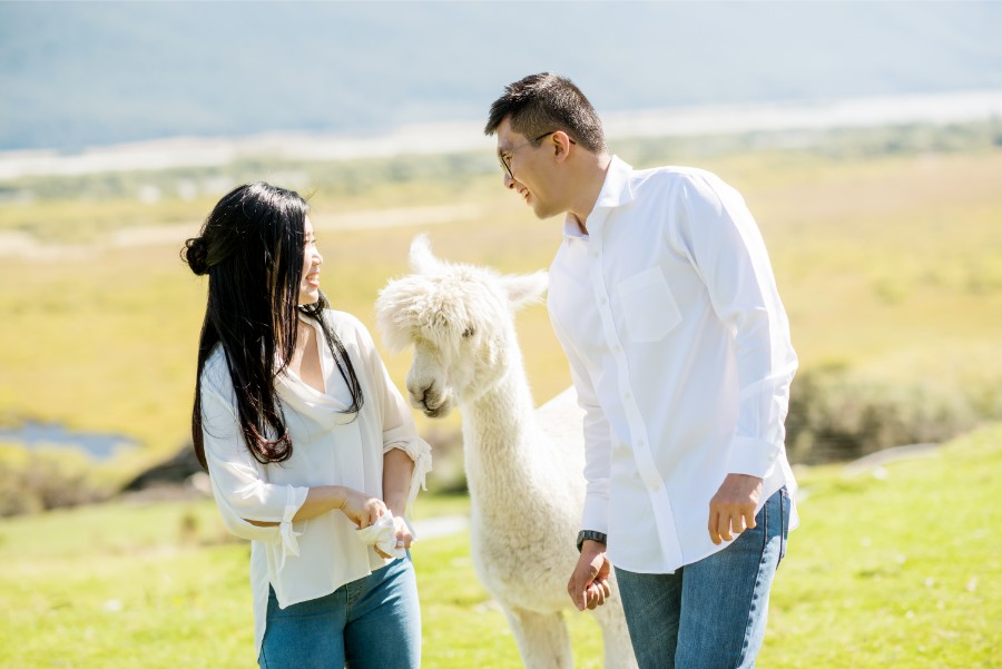 New Zealand Starry Night Prewedding Photoshoot with Alpaca Farm  by Mike on OneThreeOneFour 34