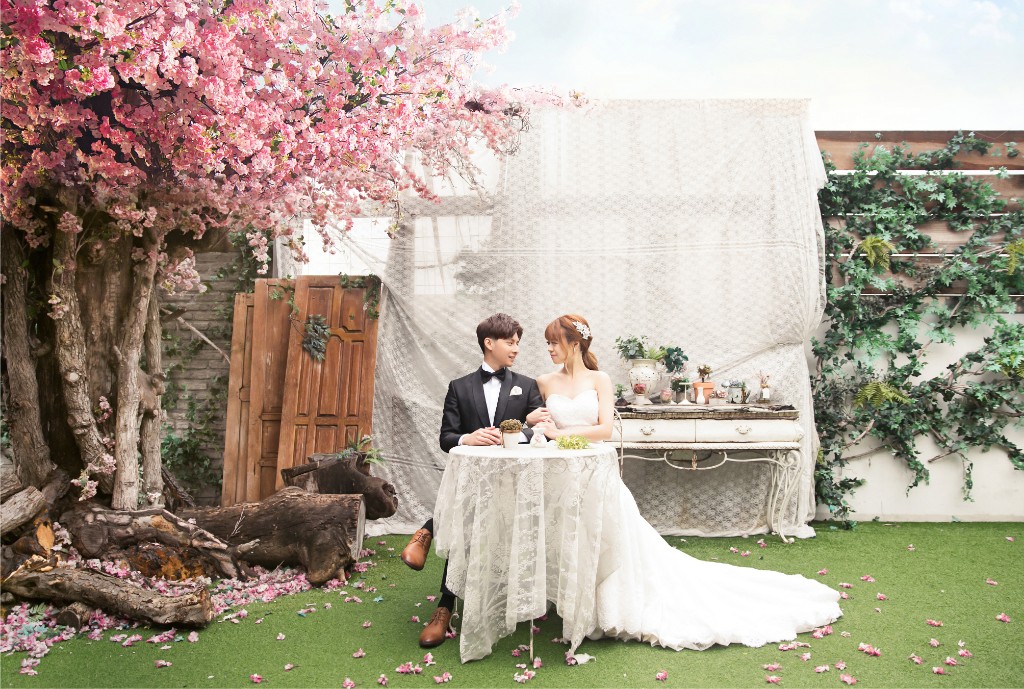 [Client Sample] Cherry Blossoms + Indoor Studio by Gaeul Studio on OneThreeOneFour 16
