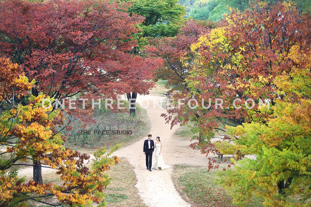 [AUTUMN] Korean Studio Pre-Wedding Photography: Seonyudo Park (선유도 공원)  (Outdoor) by The Face Studio on OneThreeOneFour 16