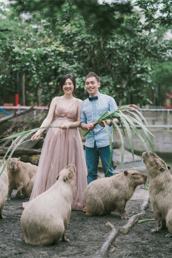 Taiwan Tainan Zoo Qi Gu Salt Mountain Prewedding Photoshoot by Star on OneThreeOneFour 3