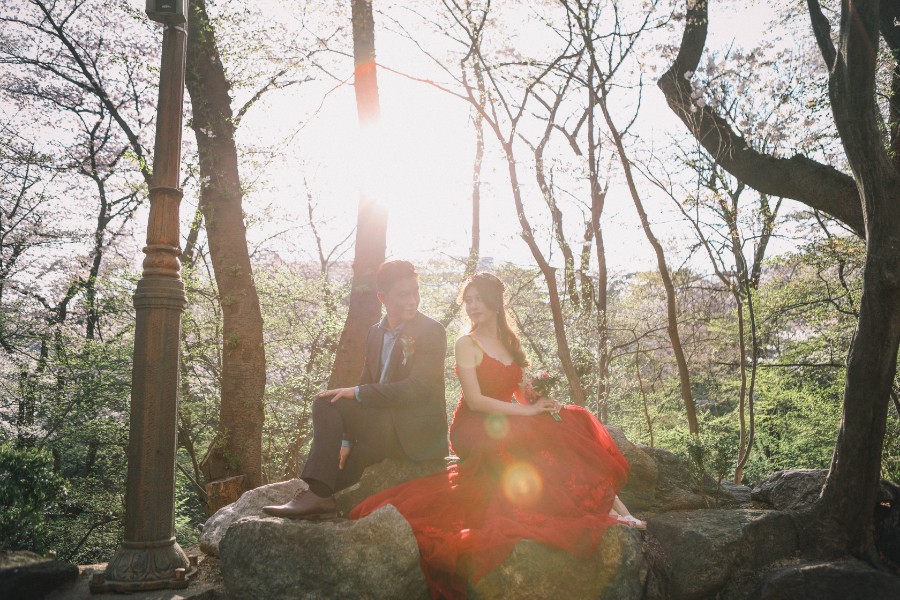Korea Cherry Blossom Pre-Wedding Photoshoot At Seoul Forest  by Beomsoo on OneThreeOneFour 16