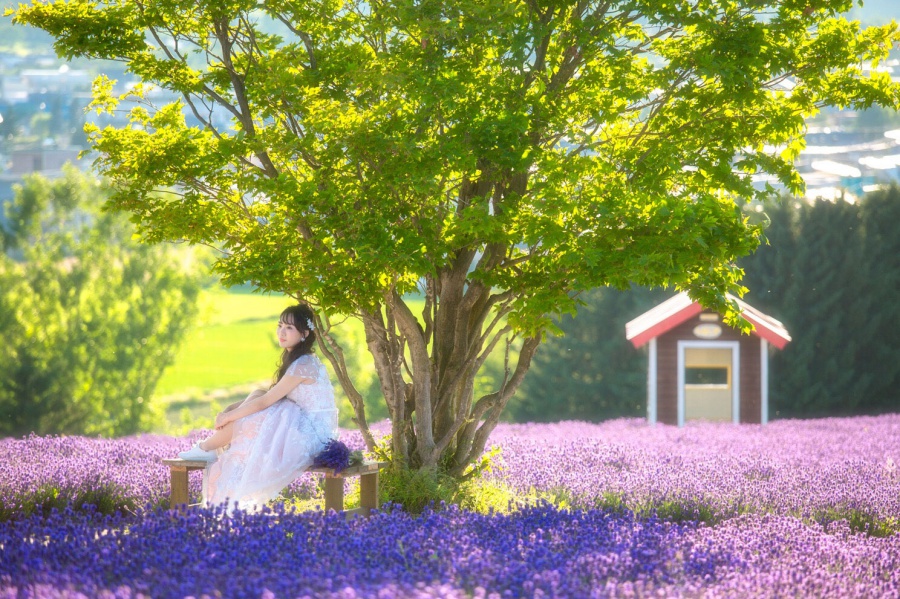 Hokkaido Furano Summer Pre-Wedding Photoshoot At Tomita Lavender Farm by Wu on OneThreeOneFour 3