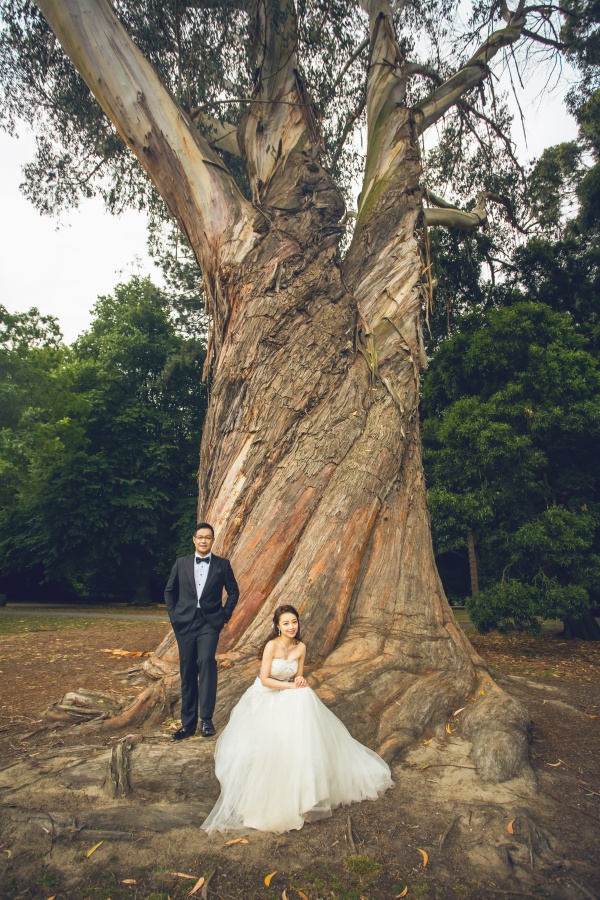 New Zealand Pre-Wedding Photoshoot At Christchurch, Lake Pukaki And Alpaca Farm  by Xing on OneThreeOneFour 5