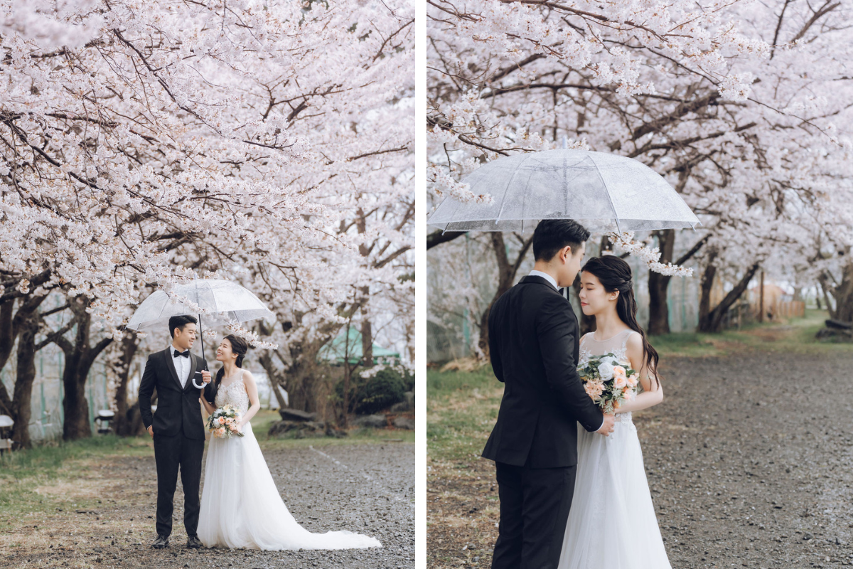 US Couple's Spring Season Kimono & Prewedding Photoshoot At Chureito Pagoda, Lake Kawaguchiko In Tokyo by Cui Cui on OneThreeOneFour 18