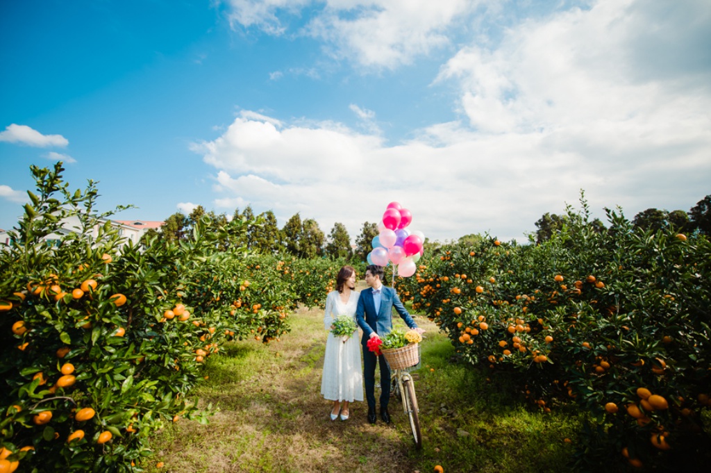 Korea Jeju Island Outdoor Pre-Wedding Photoshoot At Tangerine Farm  by Ray  on OneThreeOneFour 9